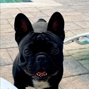 Meet your Posher, Bryn